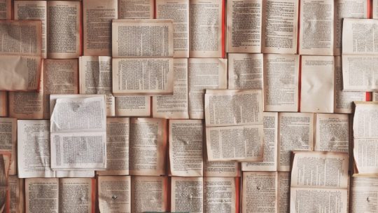 Many books - Faster learning