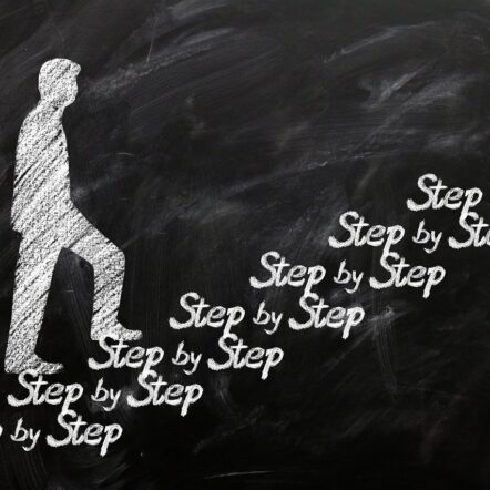 The 6 Pillars That Separate Average Java Developers from the Highest-Paid in the Market